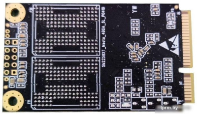 SSD AMD Radeon R5 256GB R5MS256G5 