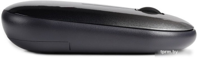 Мышь SmartBuy SBM-266AG-K 