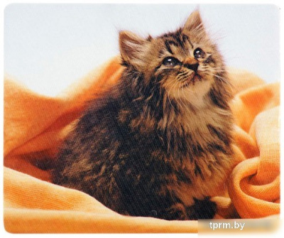 Коврик для мыши Defender Silk (50706) 