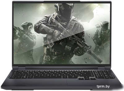 Игровой ноутбук Maibenben X-Treme Typhoon X16C X16C-i544550F44LG4E10 