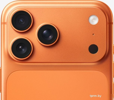 Apple iPhone 17 Pro Max 256GB (космический оранжевый) 