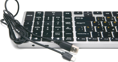 Клавиатура Gembird KBW-2 