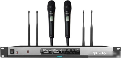 Радиосистема DSPPA D5821