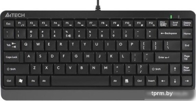 Клавиатура A4Tech Fstyler FK11 (черный/серый) 