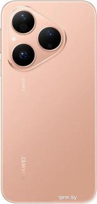 Телефон Huawei Pura 80 HED-LX9 12GB/256GB (золотой) 