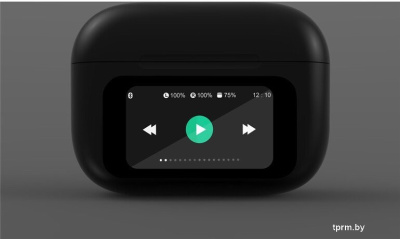 Наушники GMB Audio TWS-LCD-ANC-01-BK 