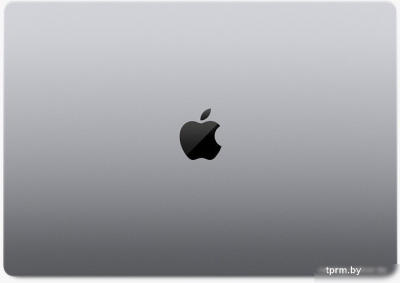 Ноутбук Apple Macbook Pro 16" M1 Pro 2021 Z14V0008D 