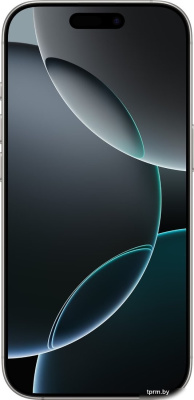 Телефон Apple iPhone 16 Pro Dual SIM 128GB (белый титан) 