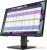 Монитор HP P22 G4 Монитор HP P22 G4