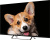 Телевизор Topdevice 43" SMART TV YаOS 03 (черный) 
