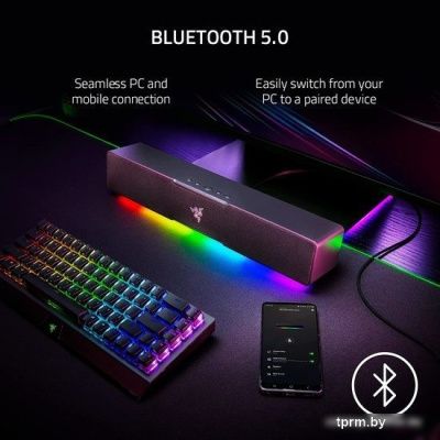 Razer Leviathan V2 X (черный) 