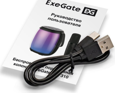 ExeGate Bro 310 