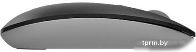 Мышь A4Tech Fstyler FG20 (черный) 