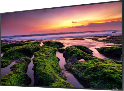 Информационная панель Samsung QB65B LH65QBBEBGCXCI 