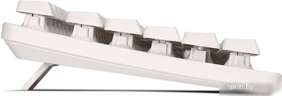 SVEN Standard 301 USB (белый) 