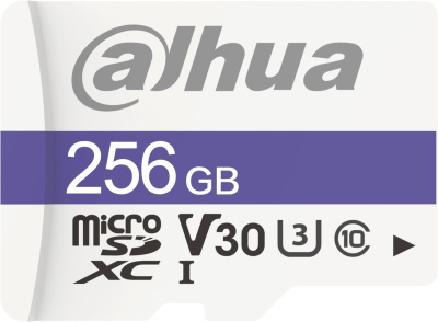 Карта памяти Dahua DHI-TF-C100/256GB 