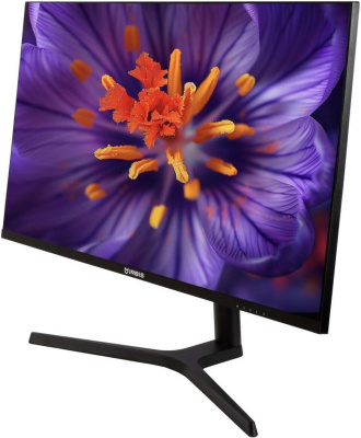 Монитор IRBIS NobleView INV27UIDR 