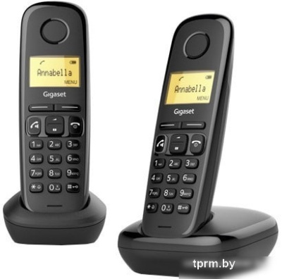 Радиотелефон Gigaset A270 DUO 