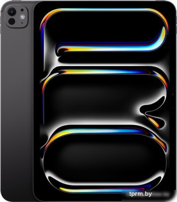 Apple iPad Pro 11" 2024 256GB (черный космос) 