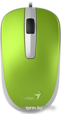 Мышь Genius DX-120 (зеленый) 