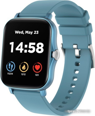 Умные часы Canyon Barberry SW-79 (синий) 