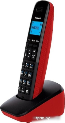 Panasonic KX-TGB610RUR 