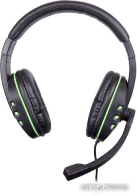 Наушники Ritmix RH-555M 