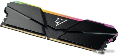 Оперативная память Netac Shadow RGB 8ГБ DDR4 3200 МГц NTSRD4P32SP-08E 