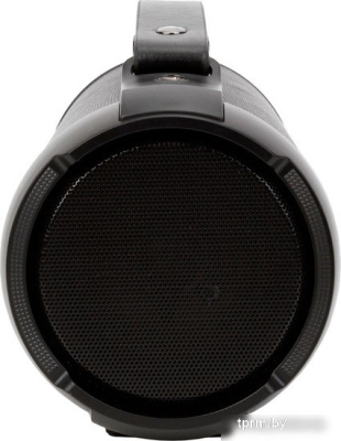 Беспроводная колонка Digma D-PS1520 (черный) 
