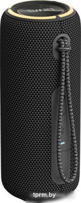 Беспроводная колонка Aiwa PAS-H200 (черный) 