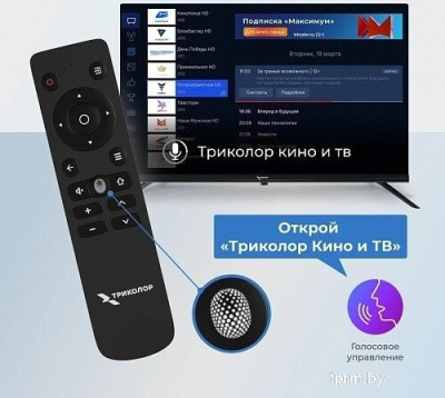 Телевизор Триколор P24HH302 