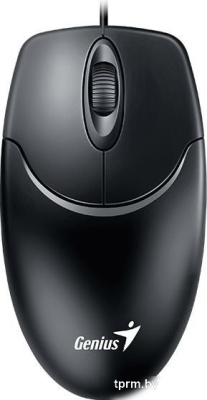 Мышь Genius NetScroll 120 v2 (черный) 