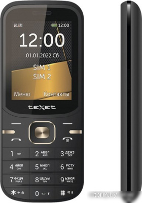 Кнопочный телефон TeXet TM-216 (черный) 