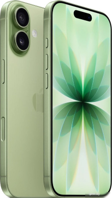 Телефон Apple iPhone 17 256GB (зеленый) 
