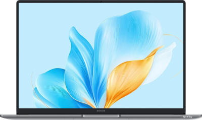 Ноутбук Honor MagicBook X16 2025 BRG-385 Space Gray (5301ALXS) 