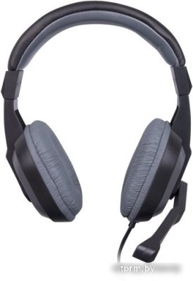 Наушники Ritmix RH-534M 