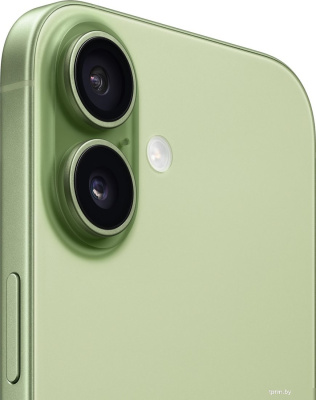 Телефон Apple iPhone 17 256GB (зеленый) 