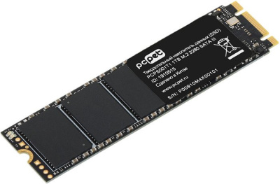 SSD PC Pet 1TB PCPS001T1 