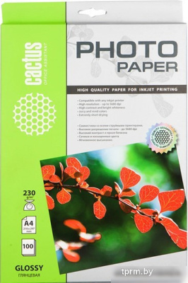 CACTUS Глянцевая A4 230 г/кв.м. 100 листов (CS-GA4230100) 