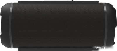 Ritmix SP-320B 