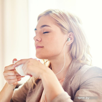 Hoco M96 (серебристый/белый) 