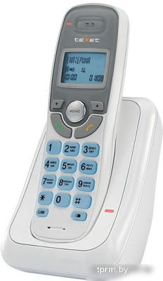 Радиотелефон TeXet TX-D6905A 