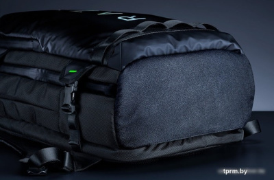 Razer Rogue 17.3" V3 RC81-03650101-0000 (черный) 