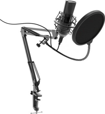 Микрофон Ritmix RDM-180 