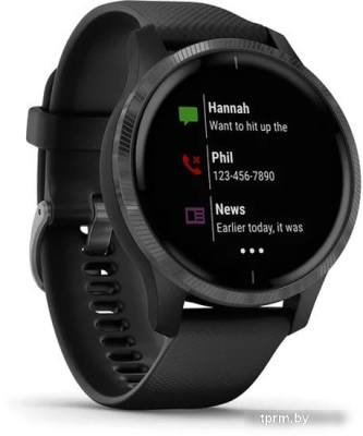 Умные часы Garmin Venu (черный/серый) 