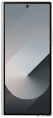 Смартфон Samsung Galaxy Z Fold6 SM-F956B/DS 12GB/1TB (серый) 