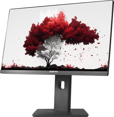 Монитор RDW Computers RDW2402K/F00B3 