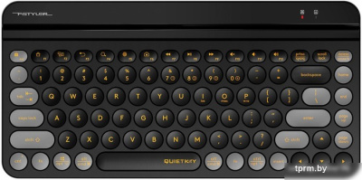 Клавиатура A4Tech Fstyler FBK30 (черная смородина) 