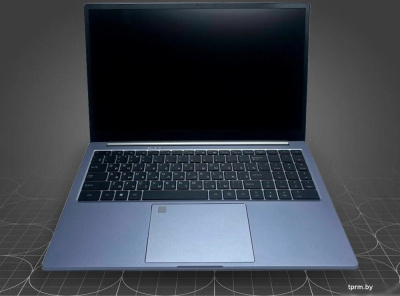 Ноутбук Ninkear N15 Pro 