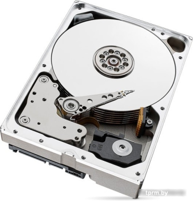 Жесткий диск Seagate SkyHawk AI 10TB ST10000VE000 